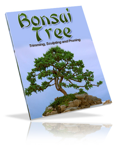 Bonsai Tree Book